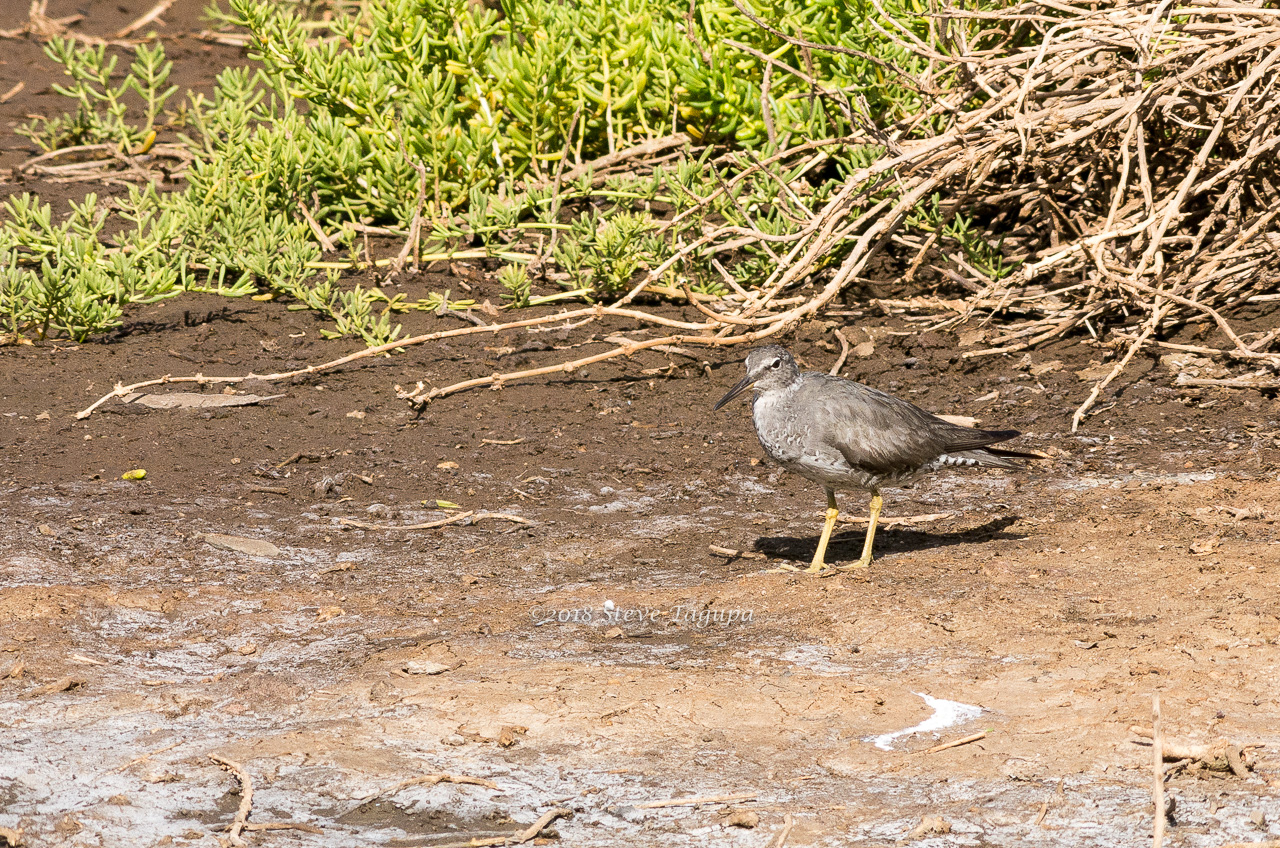 20180916-155345-K52C0237.JPG