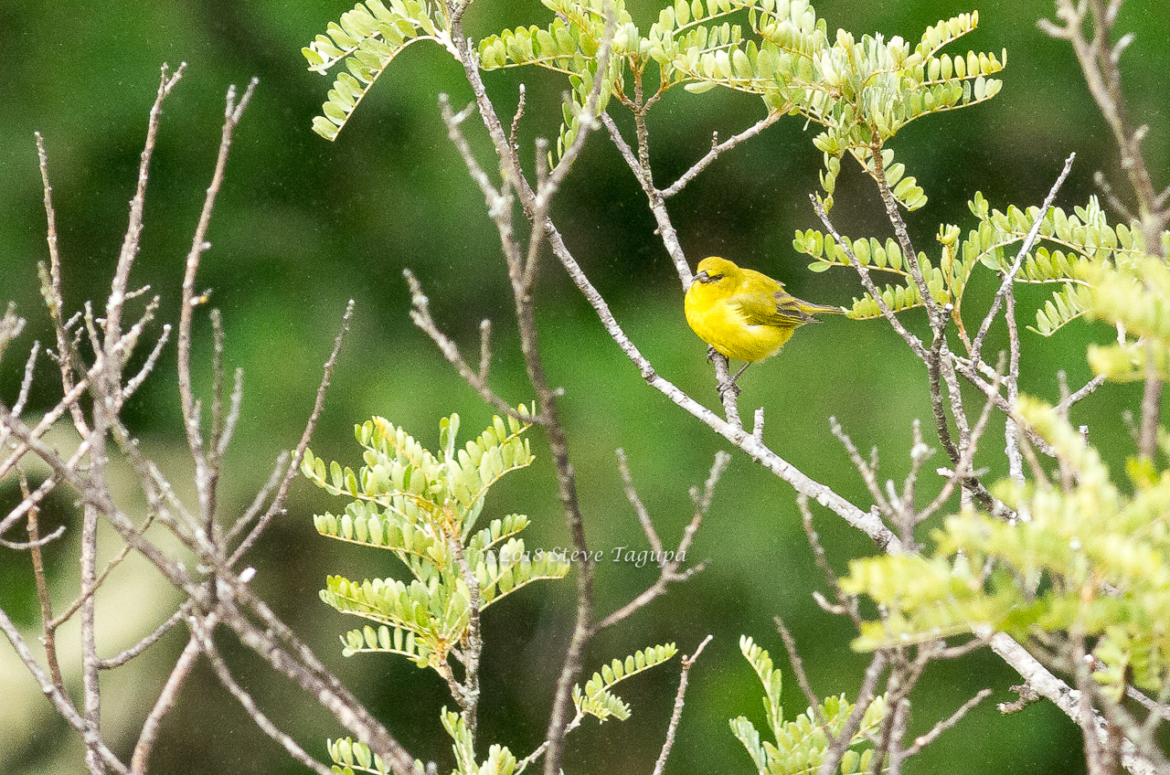 20160820-171020-K52S0220.JPG
