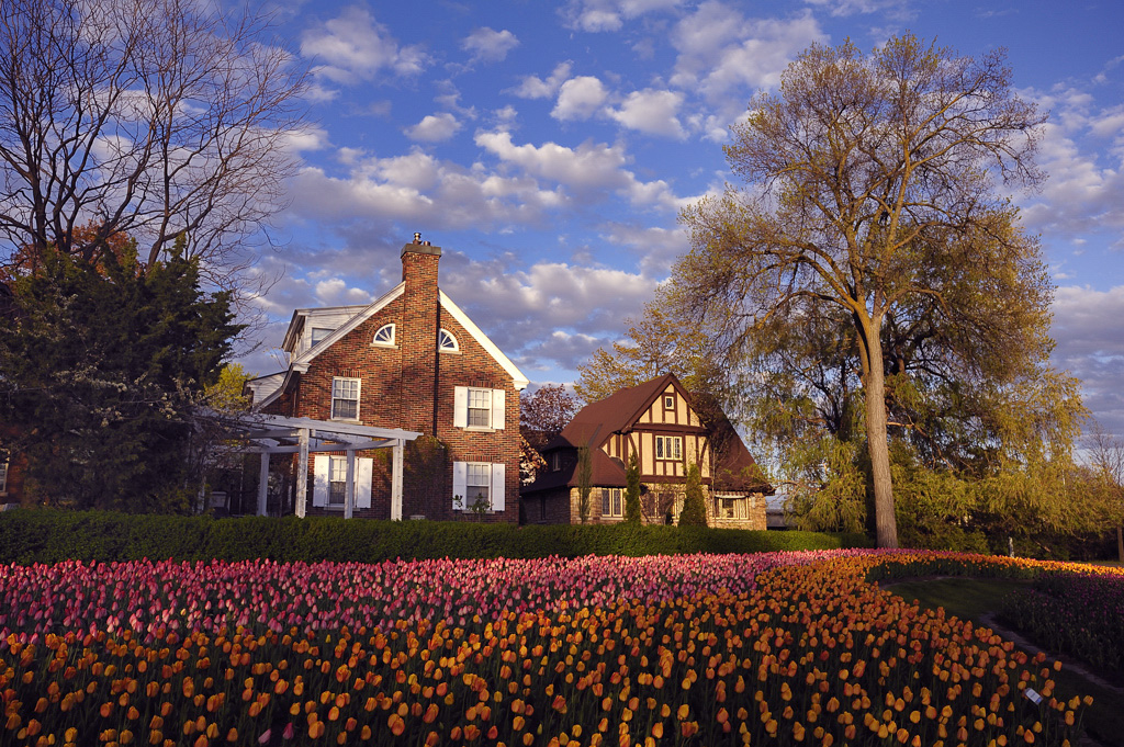 Ottawa Tulip Festival