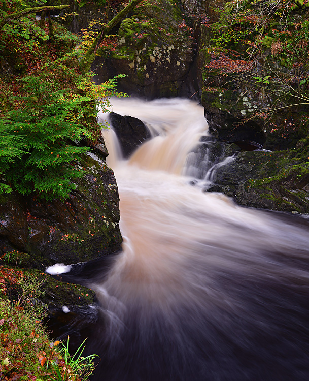 DSC_9787_edit1_crop1_pbase.jpg