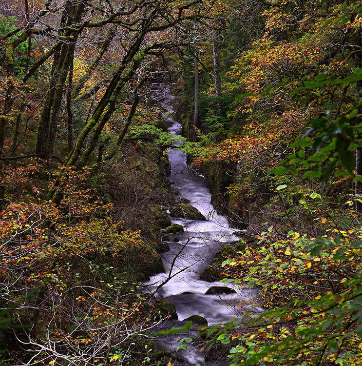 DSC_9796_edit1_crop1_pbase.jpg