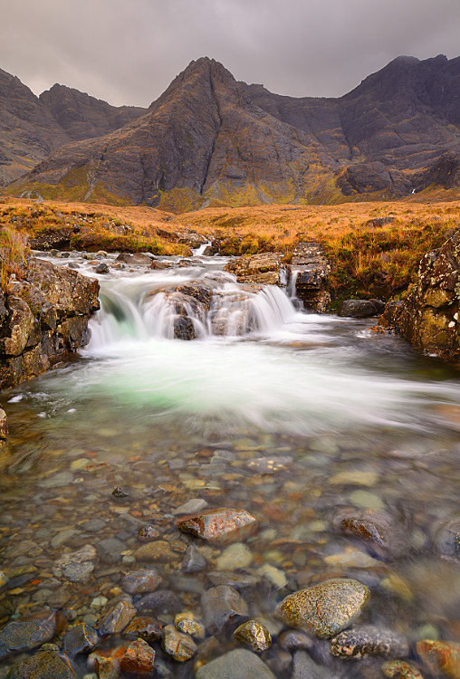 DSC_3208_plus_crop1_pbase.jpg