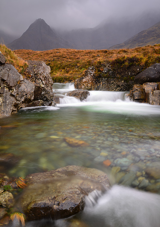 DSC_3072_plus_crop1_pbase.jpg