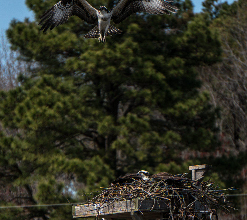 Timing Is Everything-7988.jpg
