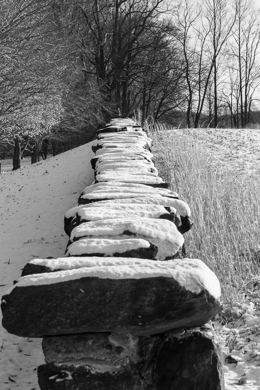 Snow Capped Stone Wall-4099.jpg