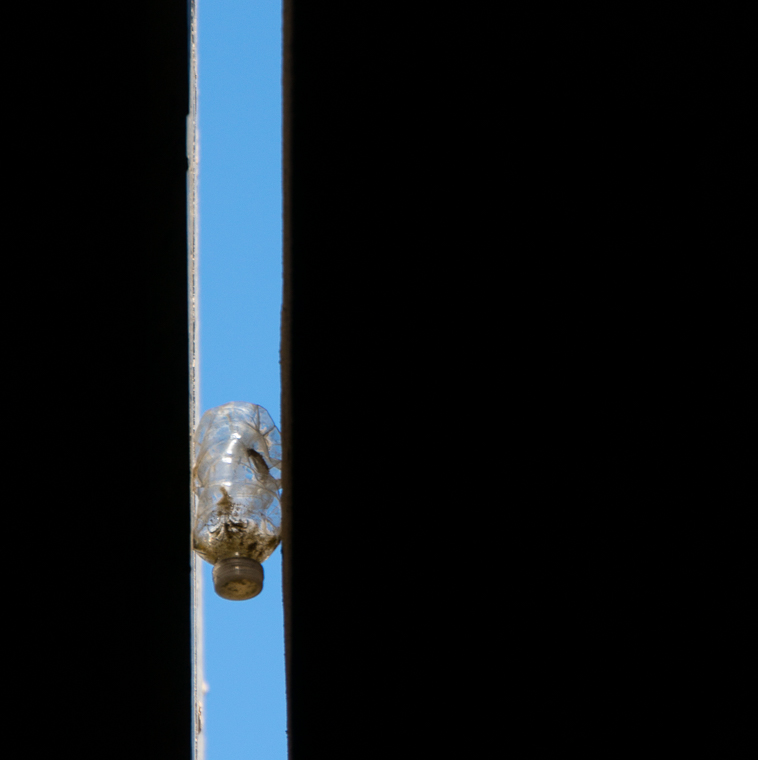 ROA-5-1309.jpg