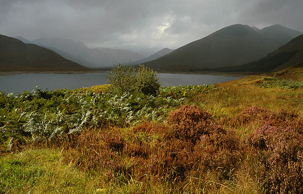 Glen Shiel