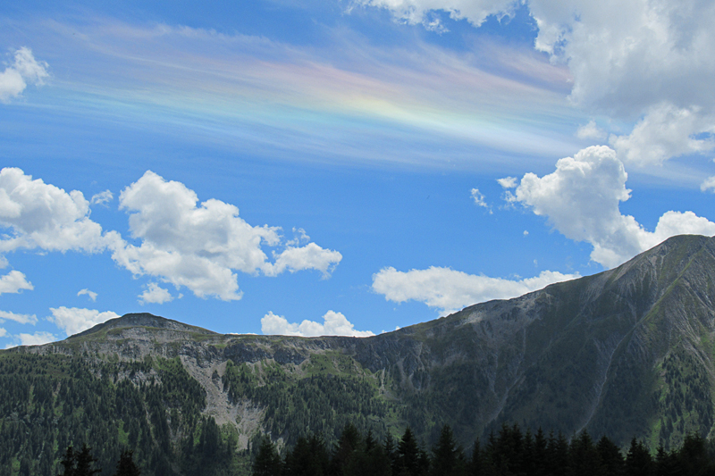 Regenboog