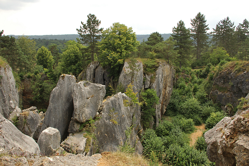 Fondry des Chiens