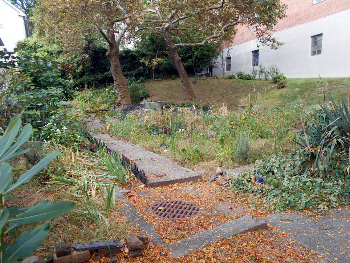 17 park.jpg