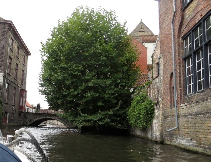 Canal seen from boat