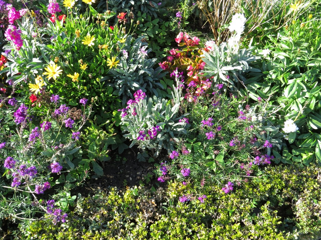 Gardens