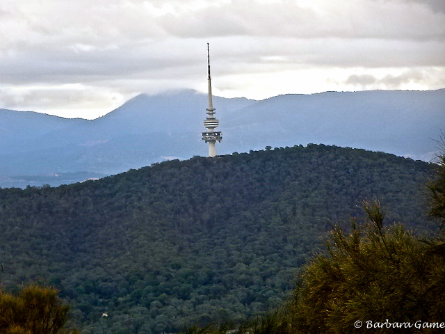 Canberra, Telstra Tower on Black Mountain