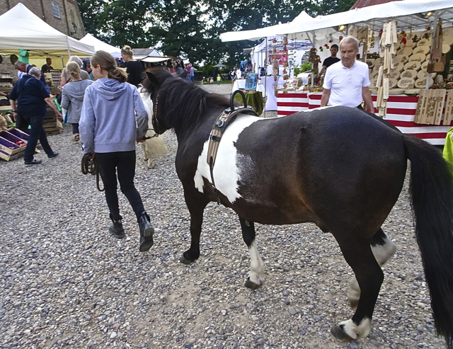 Horses welcome at the Craft Fair