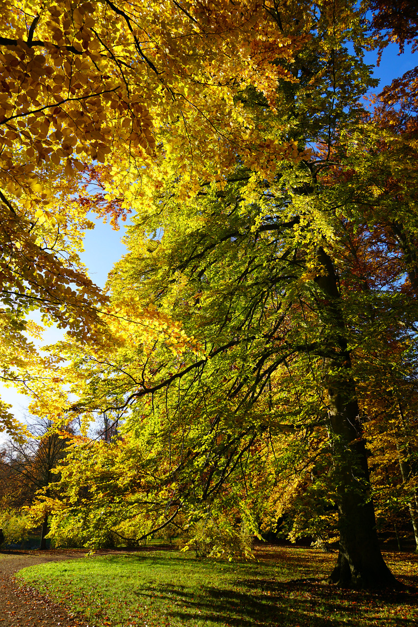 Autumn in Tuscany