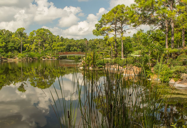 MARUKAMI_MAIN_POND2696.jpg