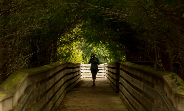 BOARDWALK_WALKER2245.jpg