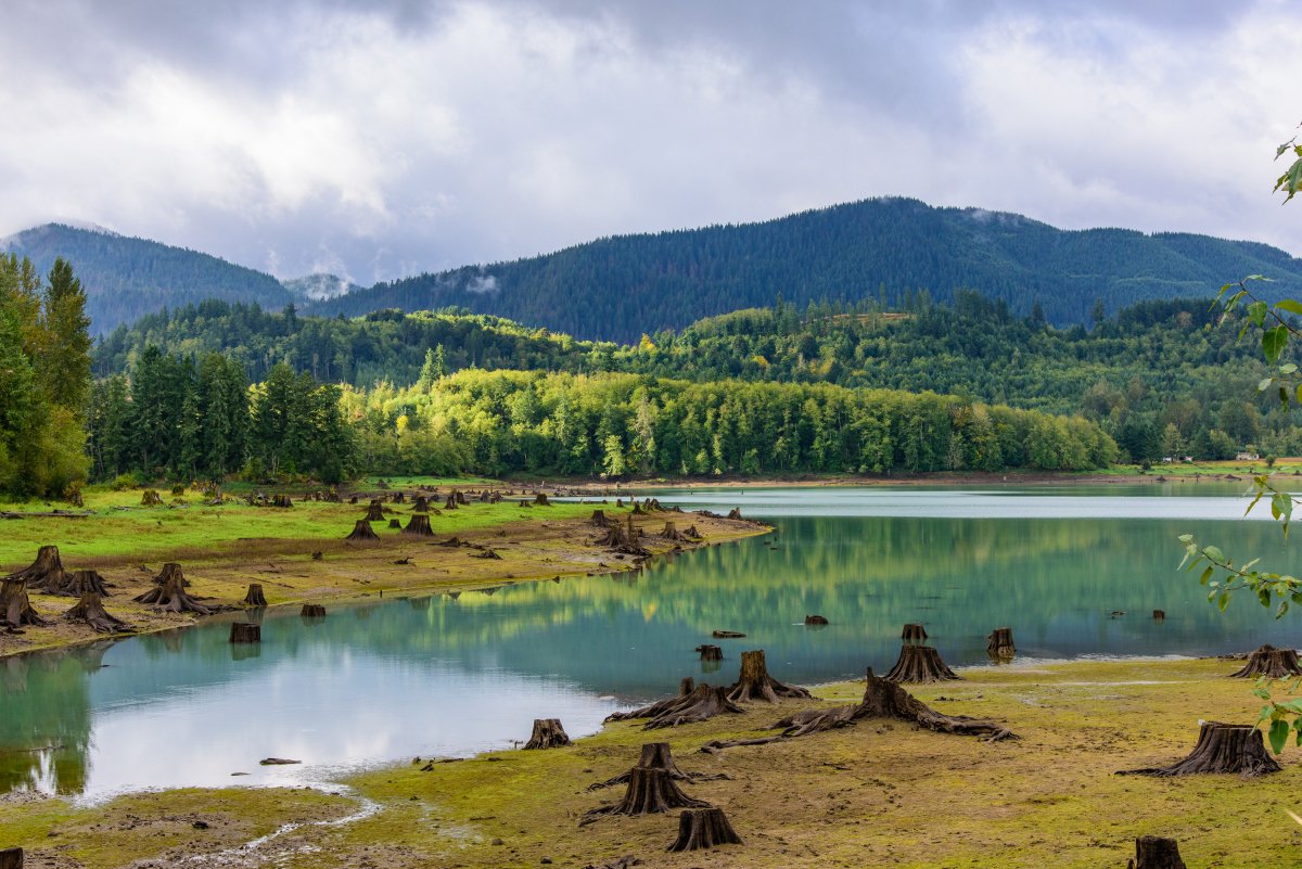 Alder Lake 