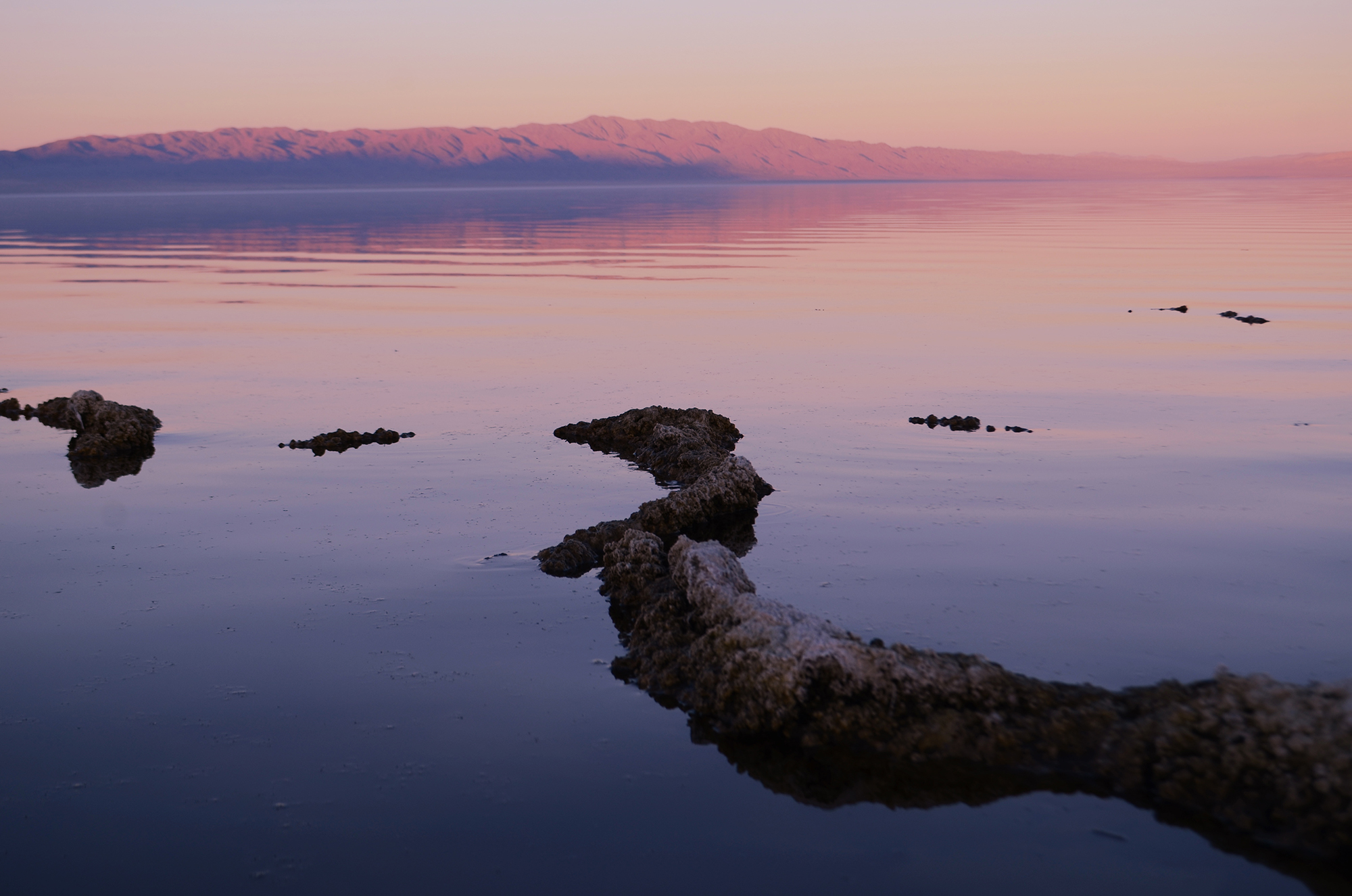 SaltonSea9968