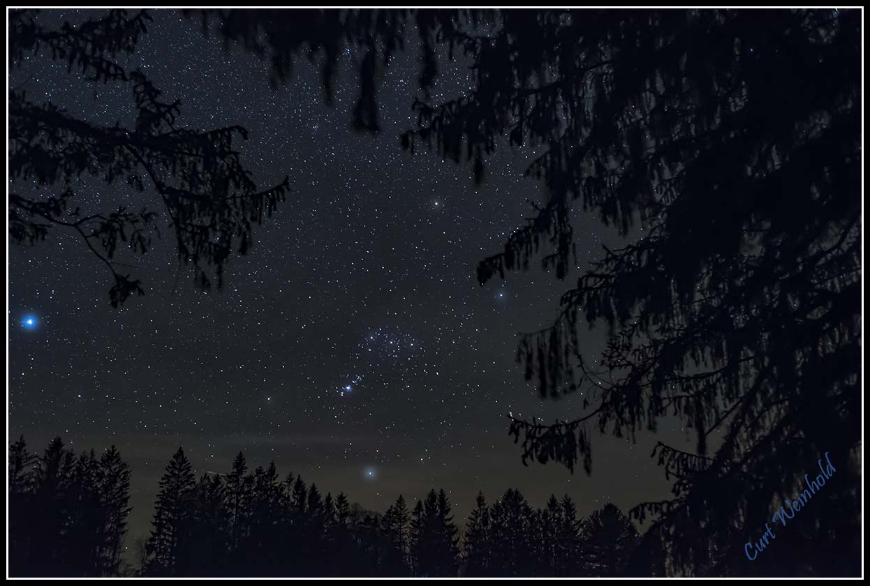 Orion among Spruce trees
