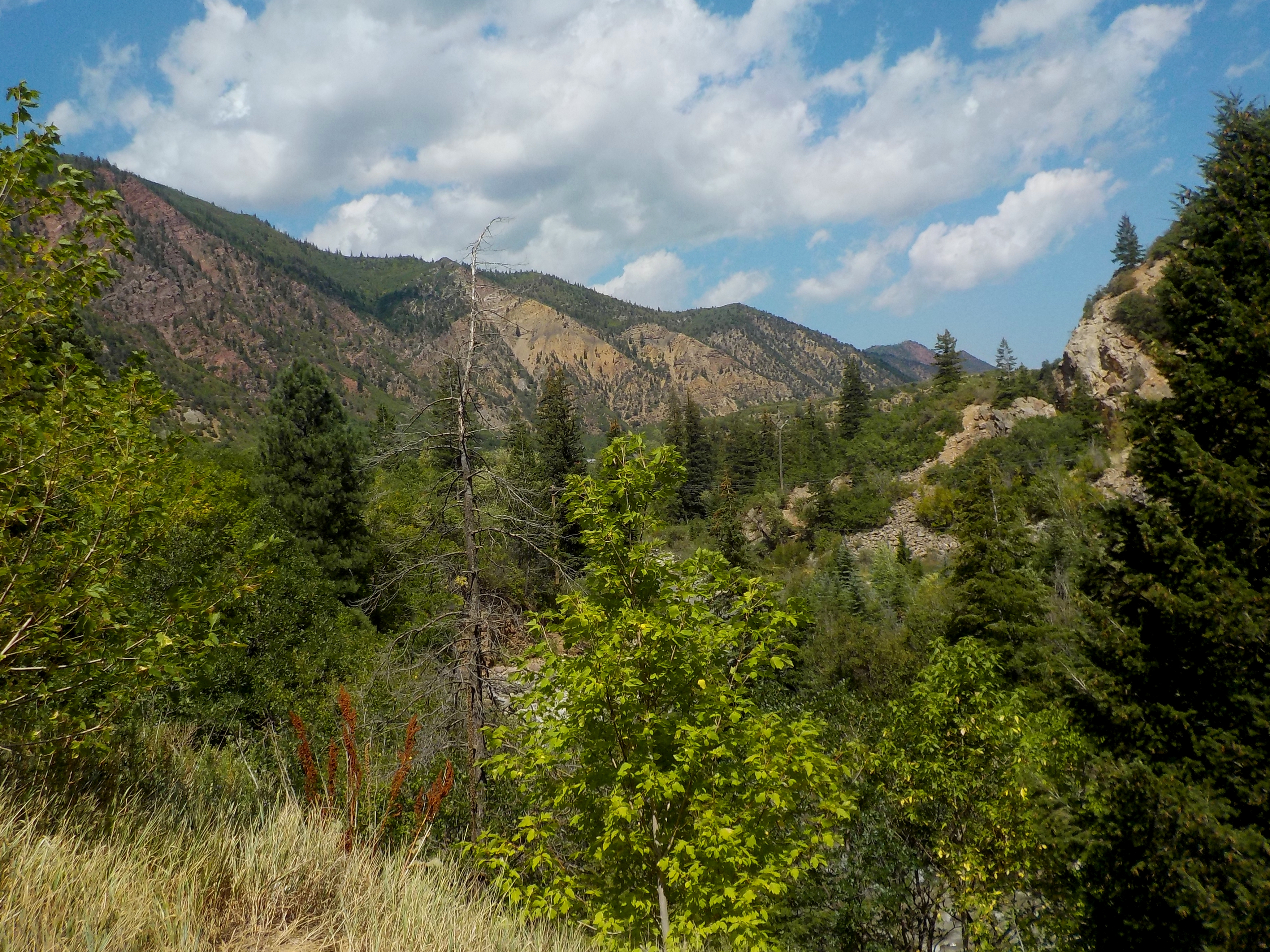 Colorado_August_2018_064.JPG