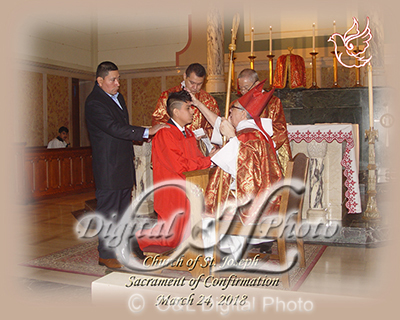 OL5614-SJA.jpg