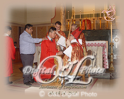 OL5617-SJA.jpg