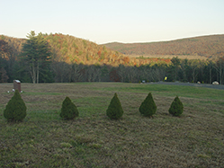 DSC09281.JPG