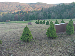 DSC09286.JPG