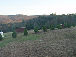 DSC09288.JPG