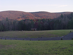 DSC09292.JPG