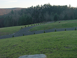 DSC09293.JPG