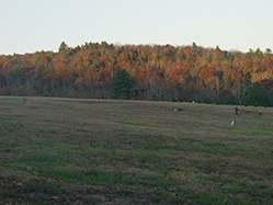 DSC09300.JPG
