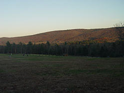 DSC09301.JPG