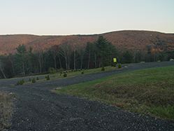DSC09306.JPG