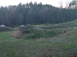 DSC09316.JPG
