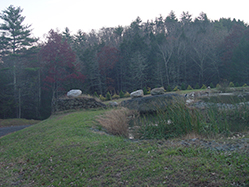DSC09317.JPG