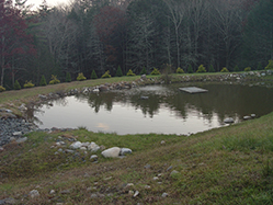 DSC09324.JPG