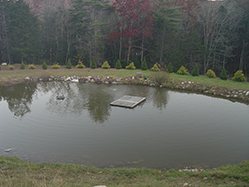 DSC09329.JPG