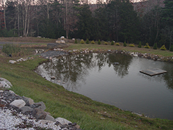 DSC09331.JPG