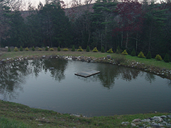 DSC09332.JPG