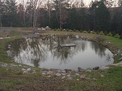 DSC09335.JPG