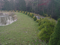 DSC09337.JPG
