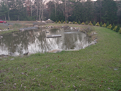 DSC09338.JPG