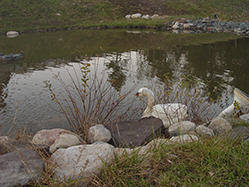 DSC09344.JPG