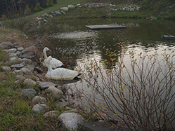 DSC09345.JPG