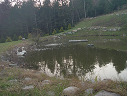 DSC09347.JPG