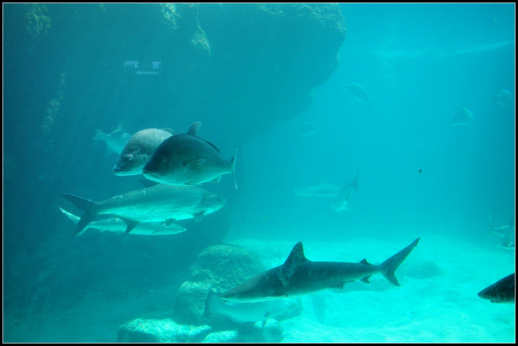 DSC_7519_1.jpg