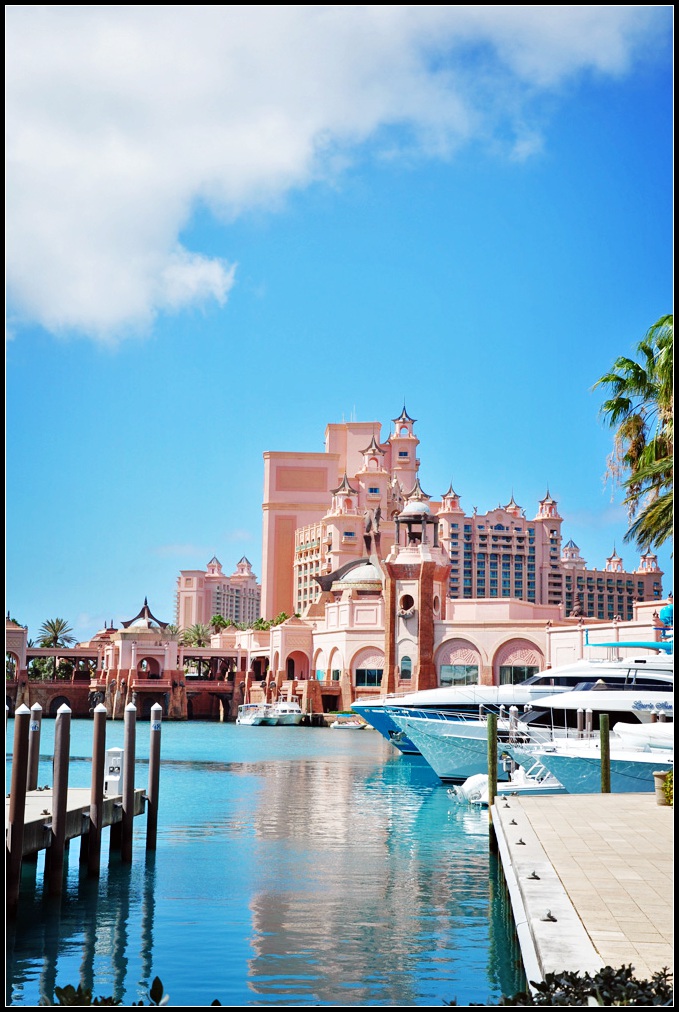 DSC_7546_1.jpg