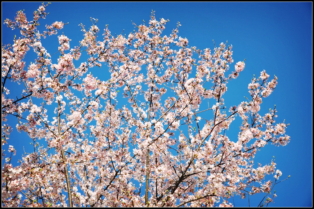 DSC_9583_1.jpg